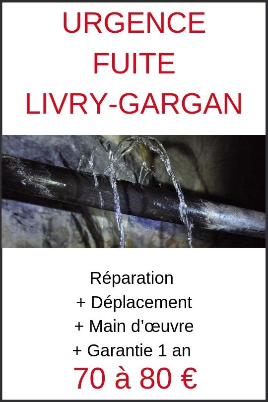 Fuite d eau Livry Gargan