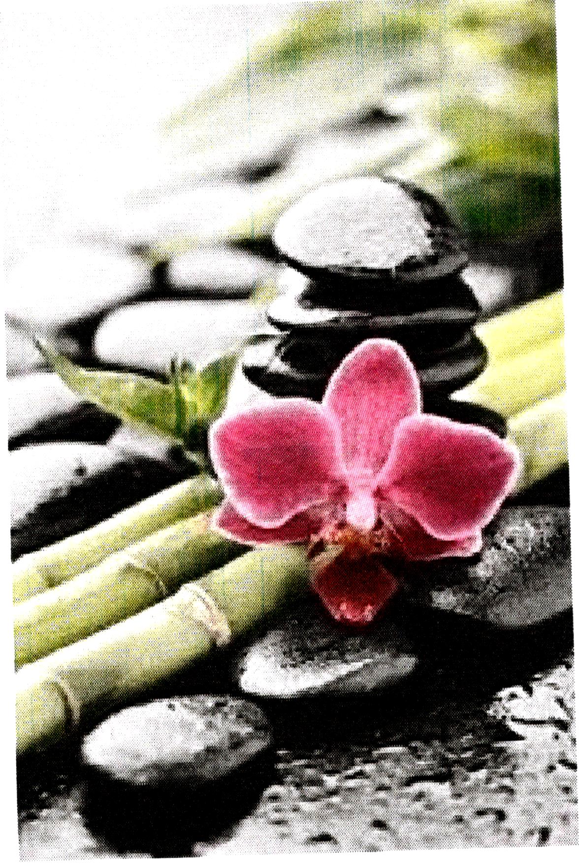 Zen