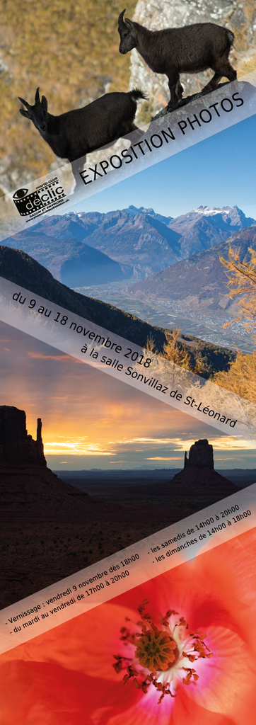 Affiche expo 2018web