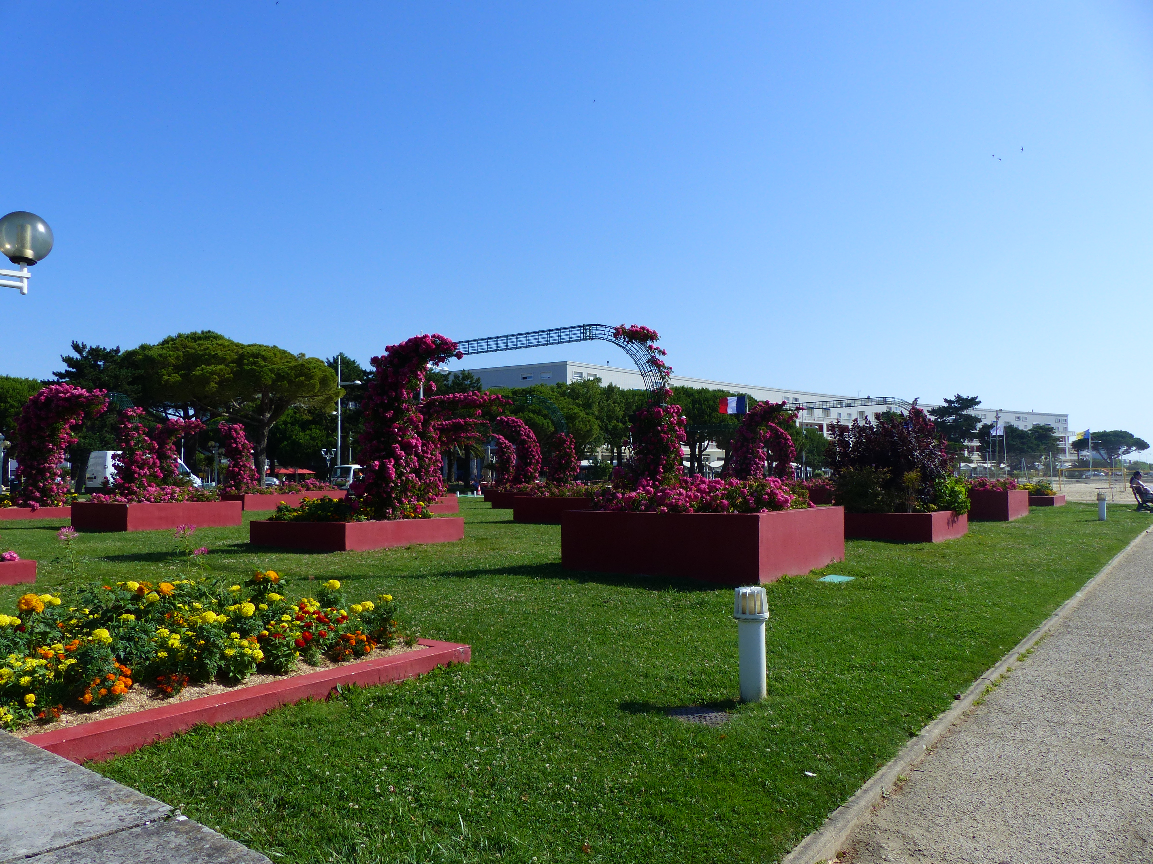 P1070877