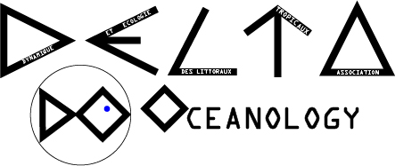 Logo 2019