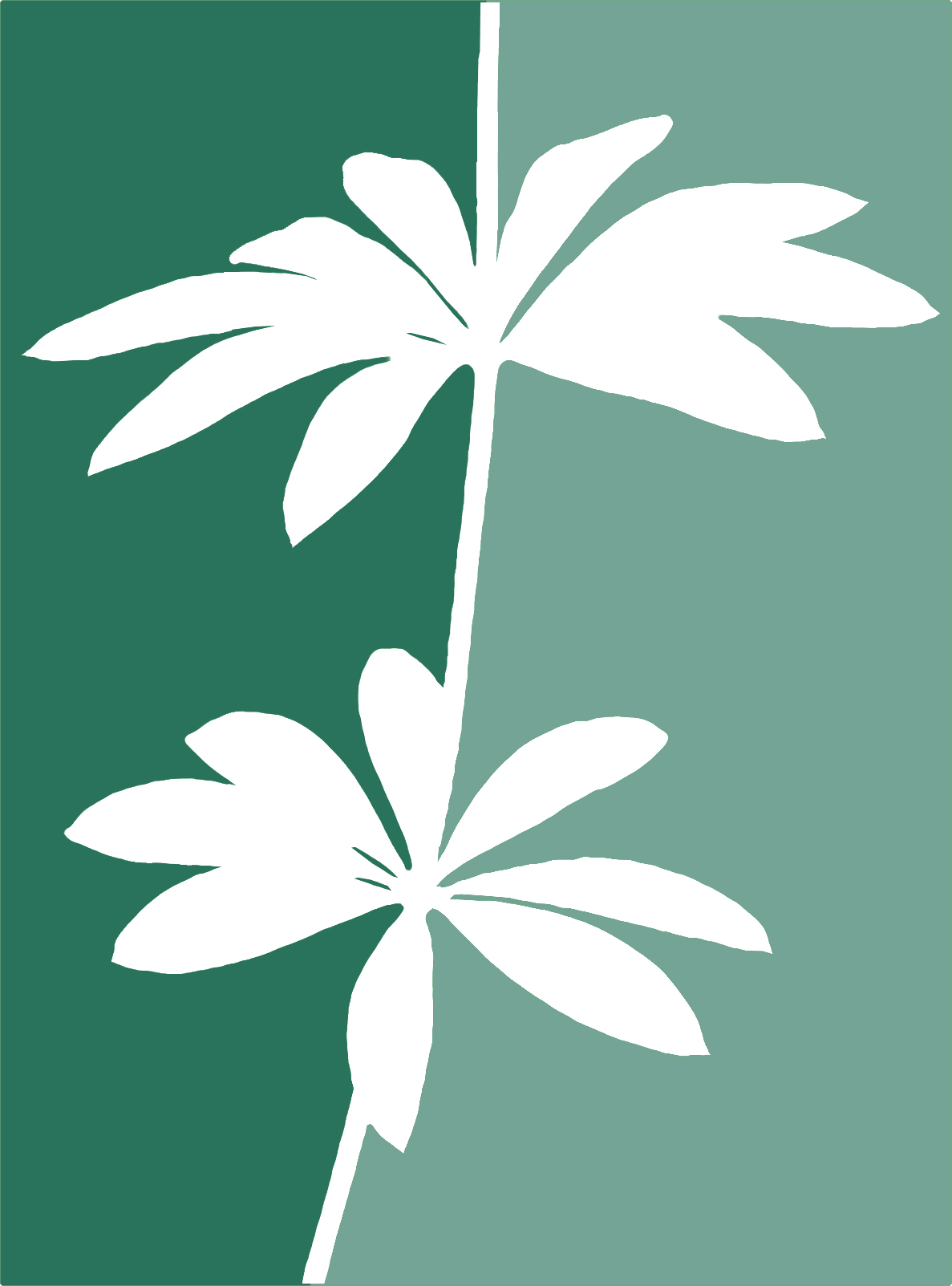 Logo HD