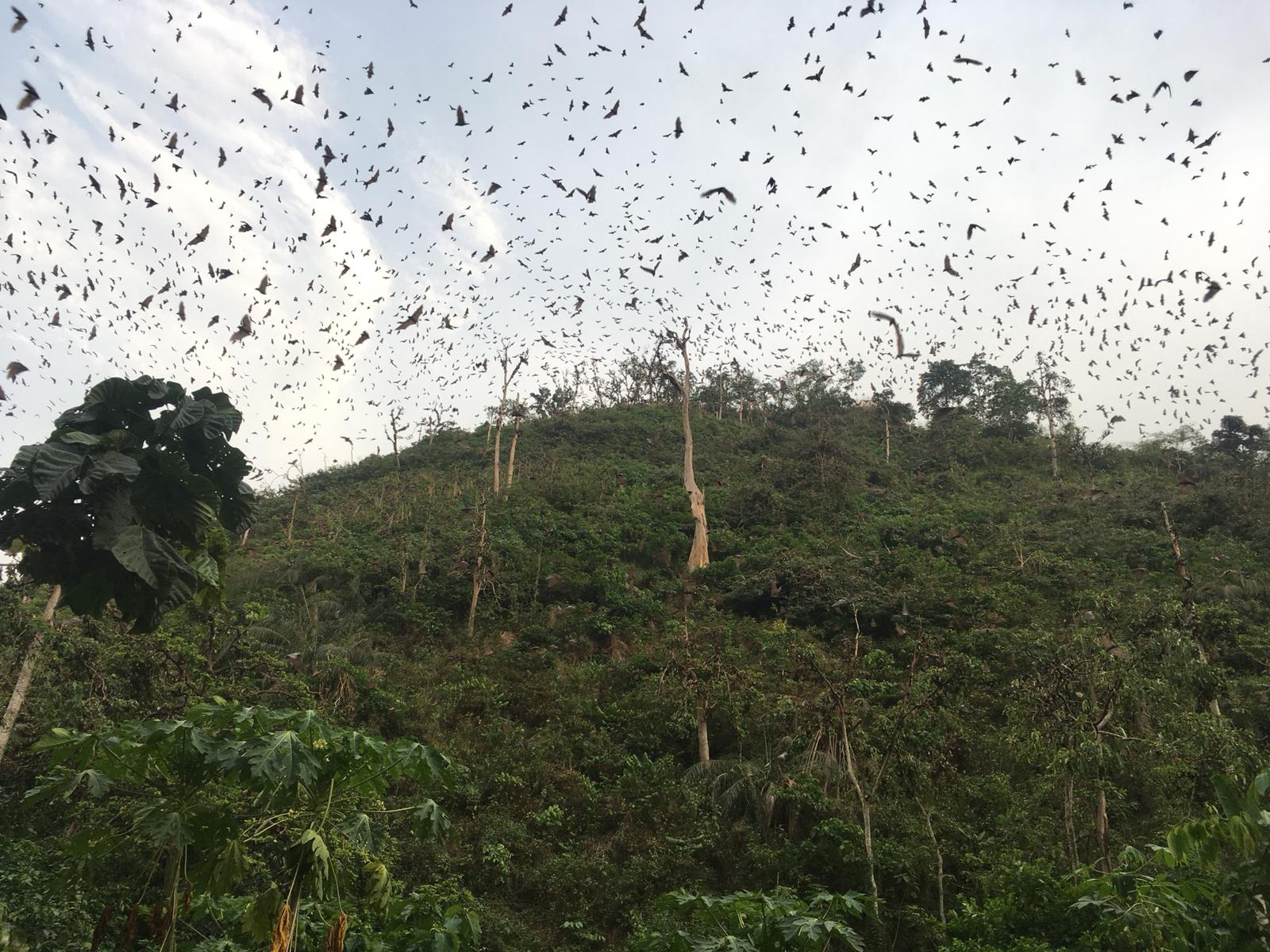 Img 20190224 wa0010