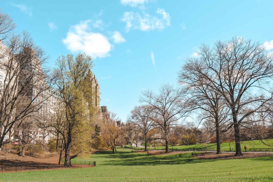 Unadjustednonraw thumb 22ce