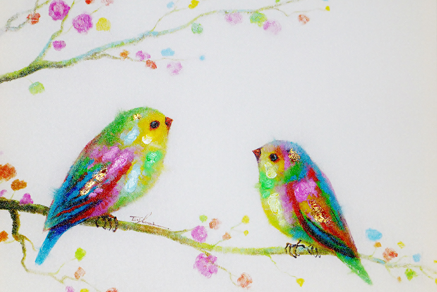 Oiseaux colore s