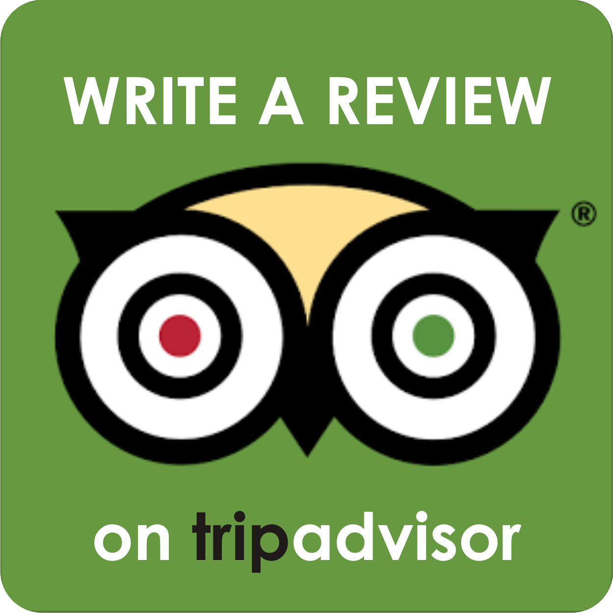 Icone tripadvisor