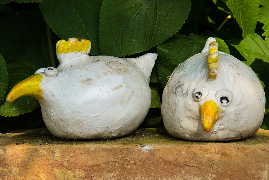 Chicken 2 poules