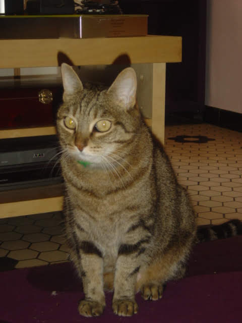 DSC01953 2 