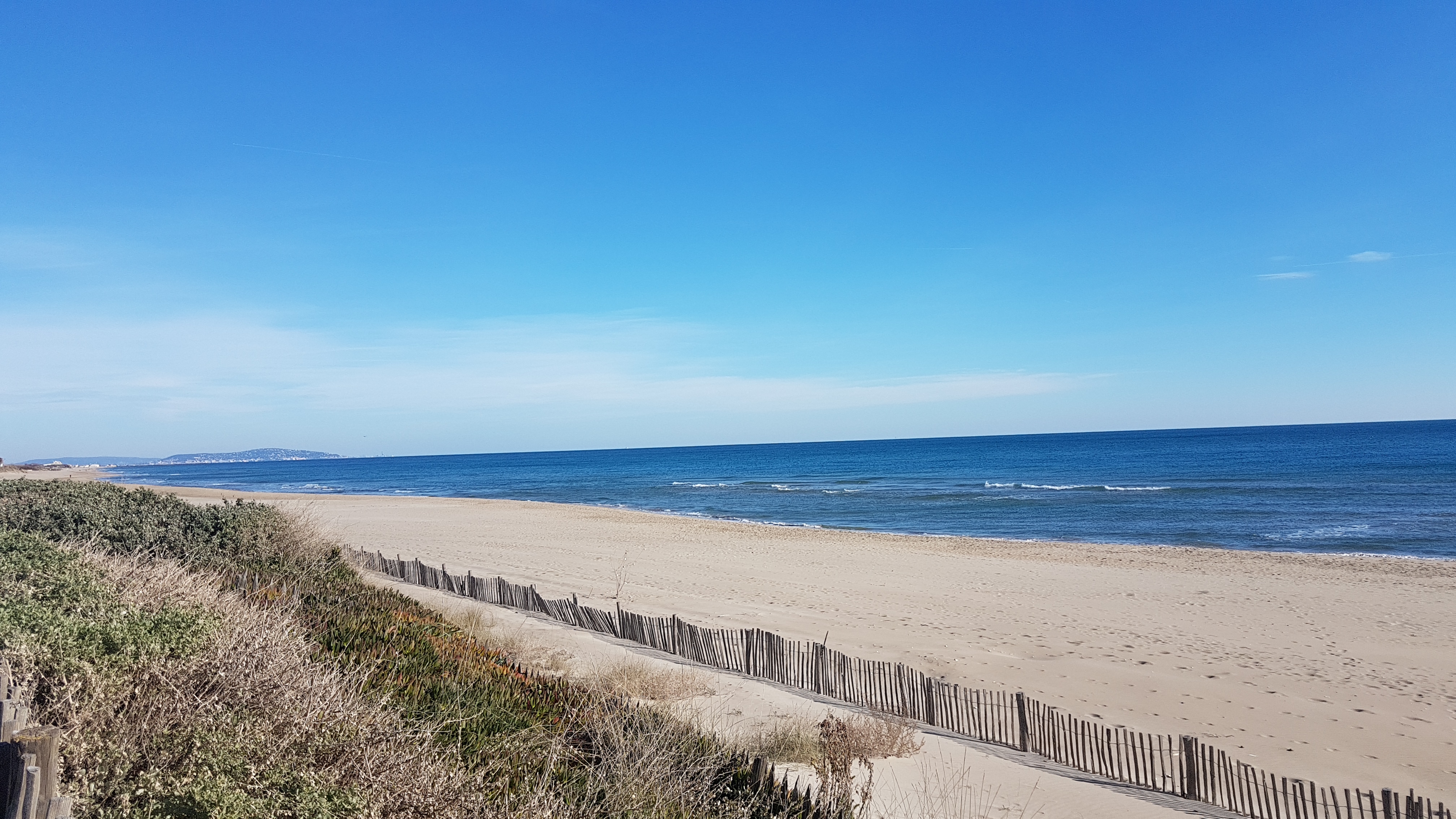 Janvier 2019 nl 107 