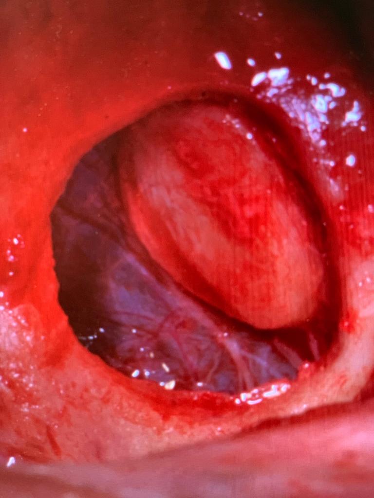 Photo 2019 07 11 17 00 57 5