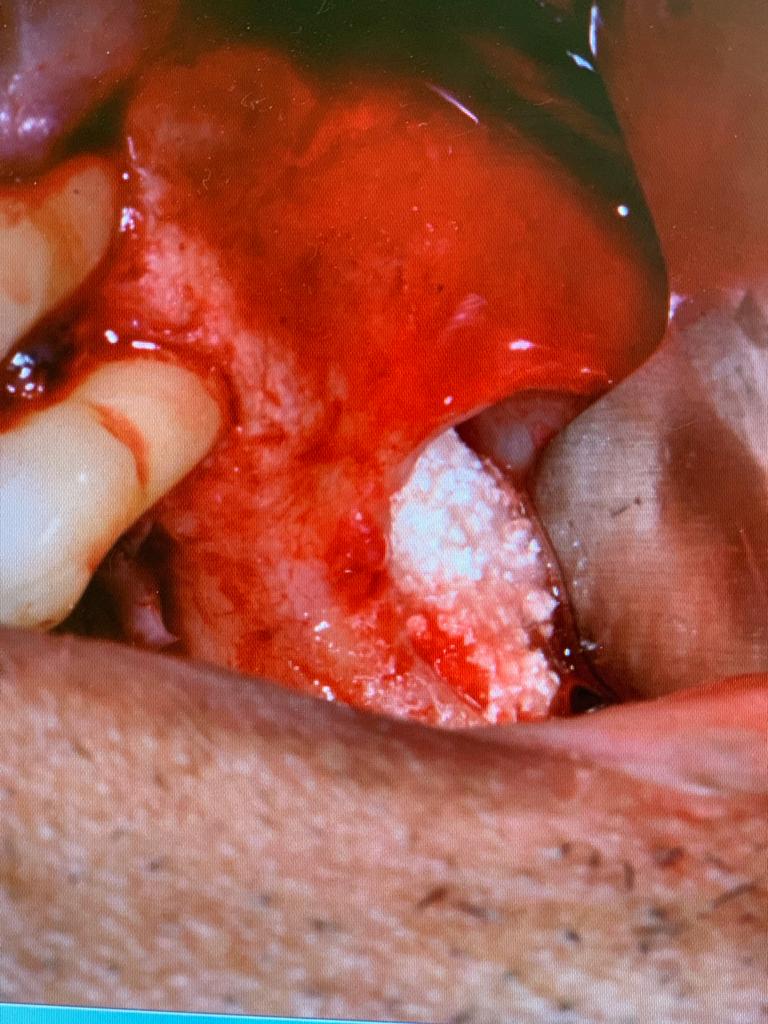 Photo 2019 07 11 17 00 57 3