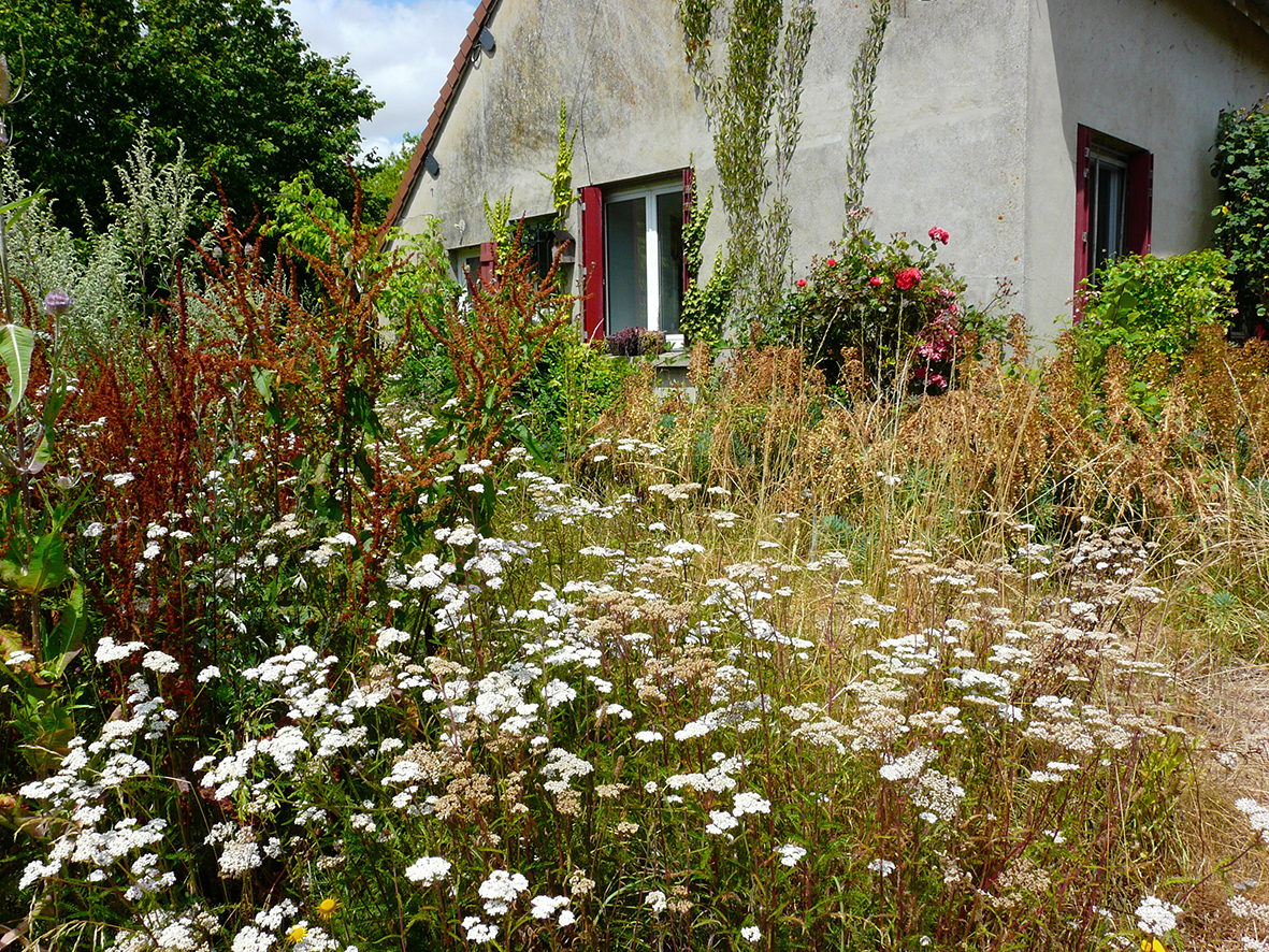 Ateliers créatifs détente. Ateliers de soutien thérapeutique. Houdan, Rambouillet, Yvelines