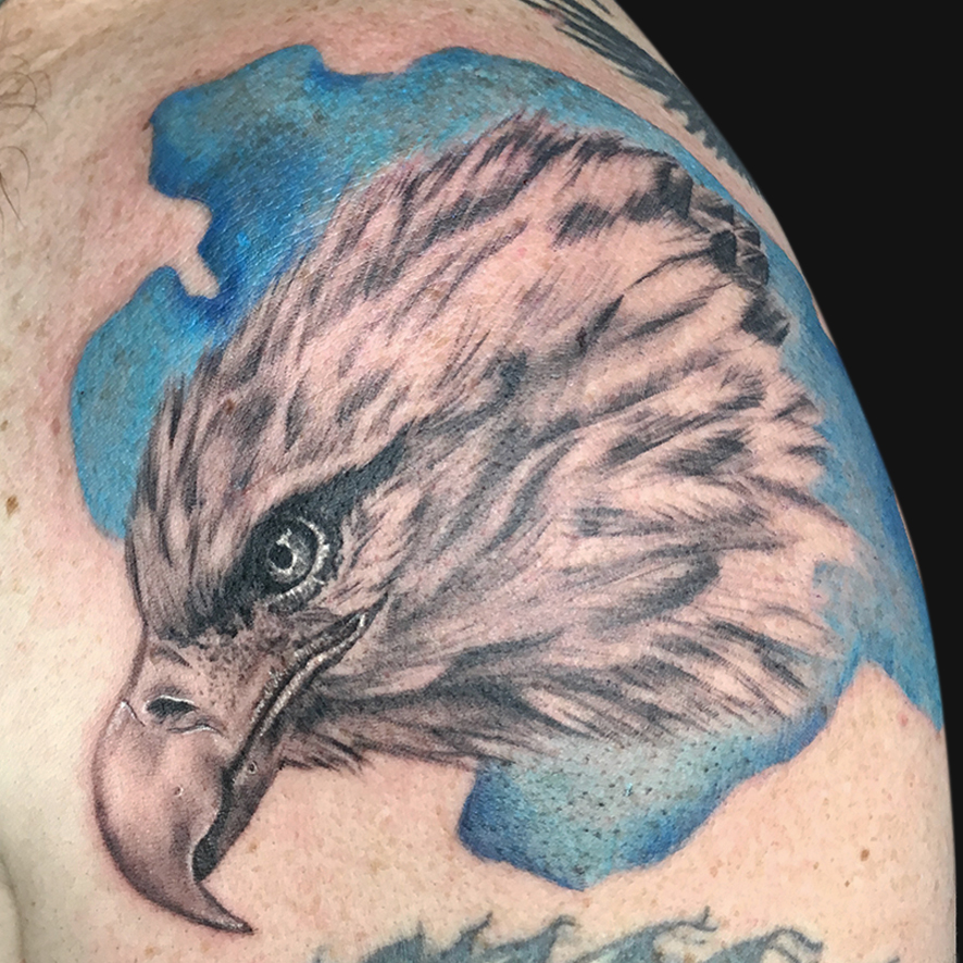 Aigle