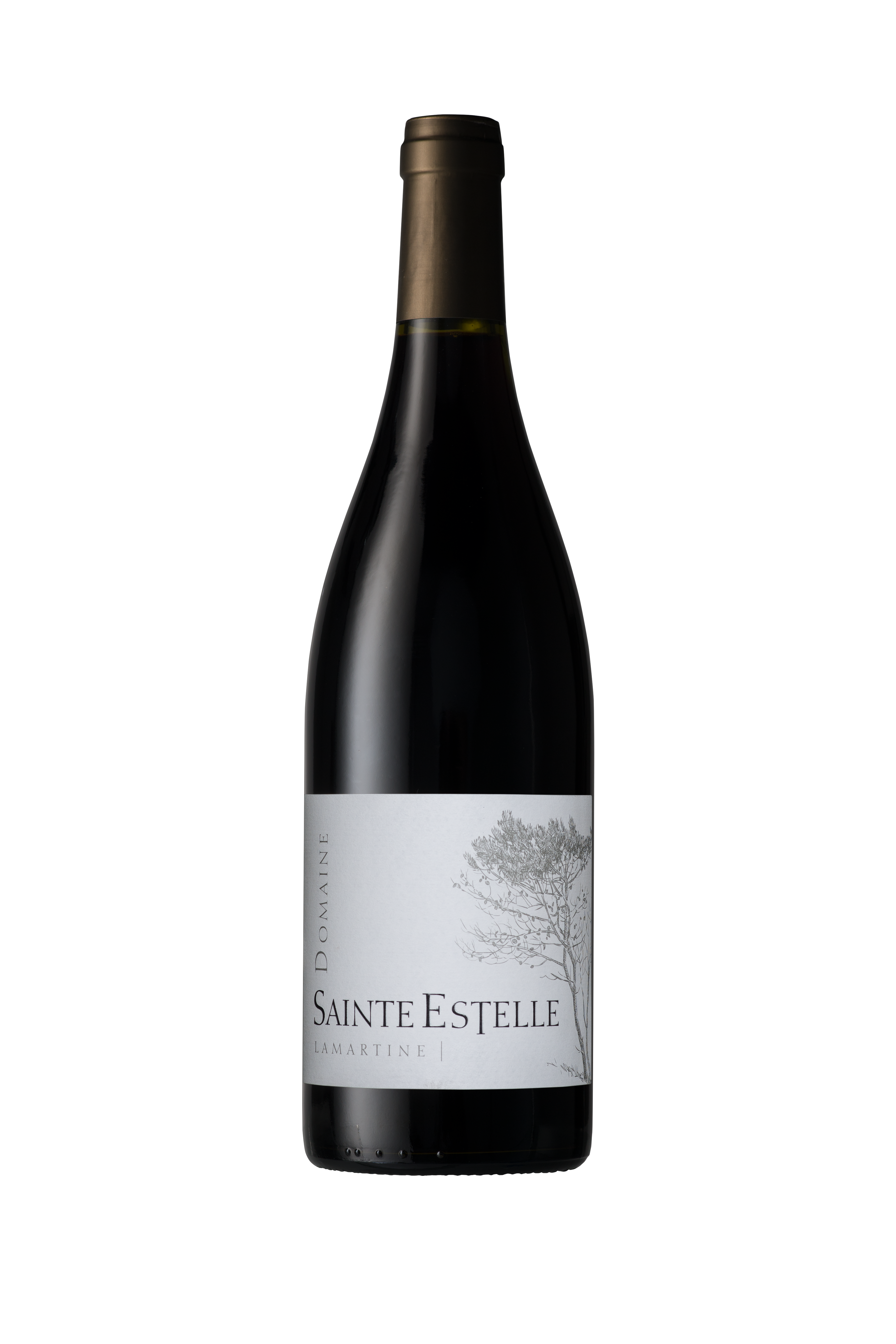 Dne Ste Estelle Lamartine 2016