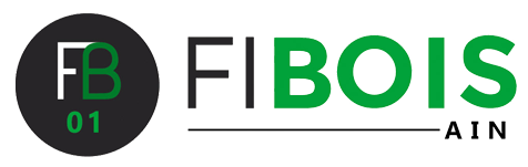 Logo fibois 01