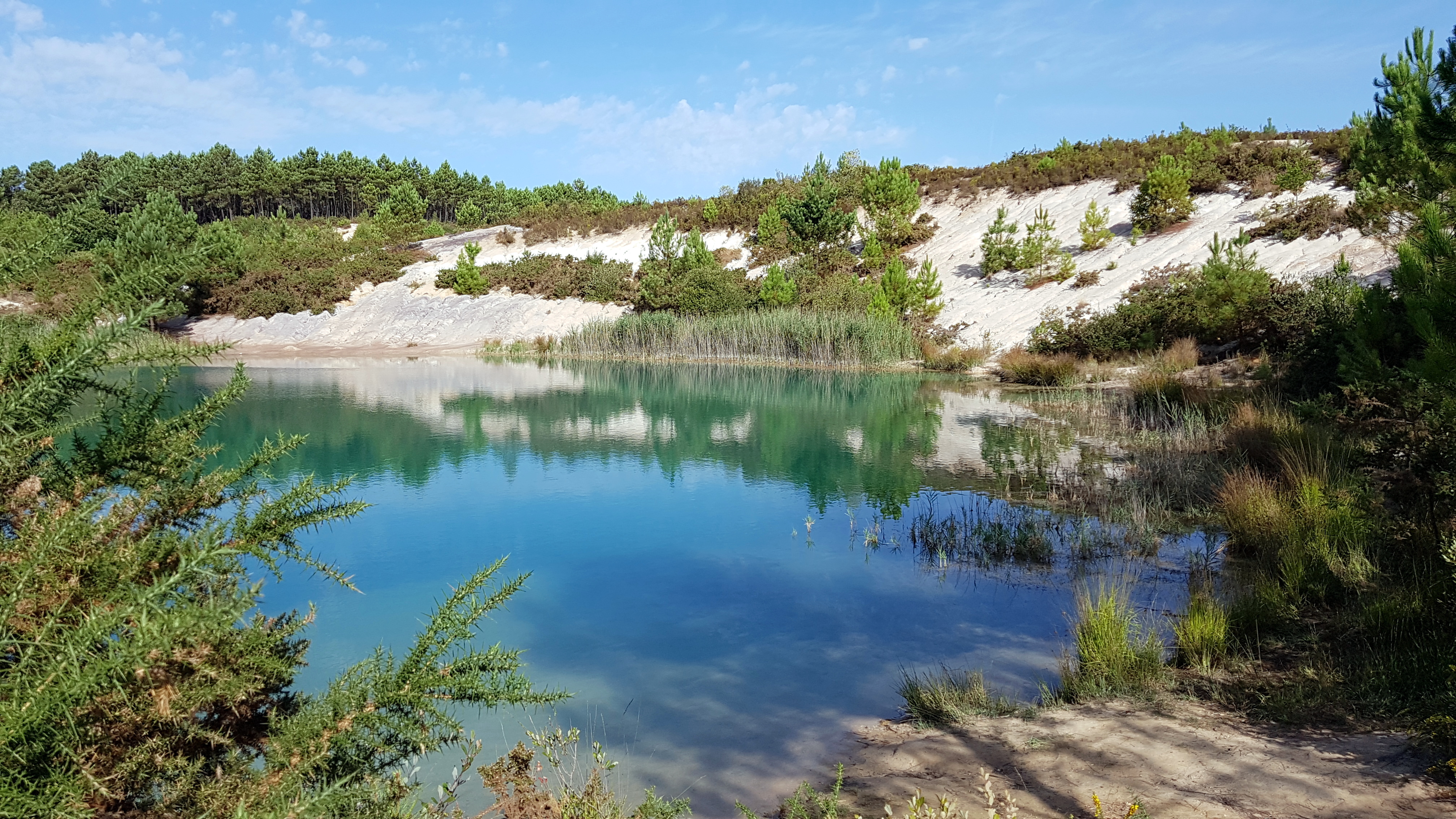 Étang de Touvérac (sept. 2018)