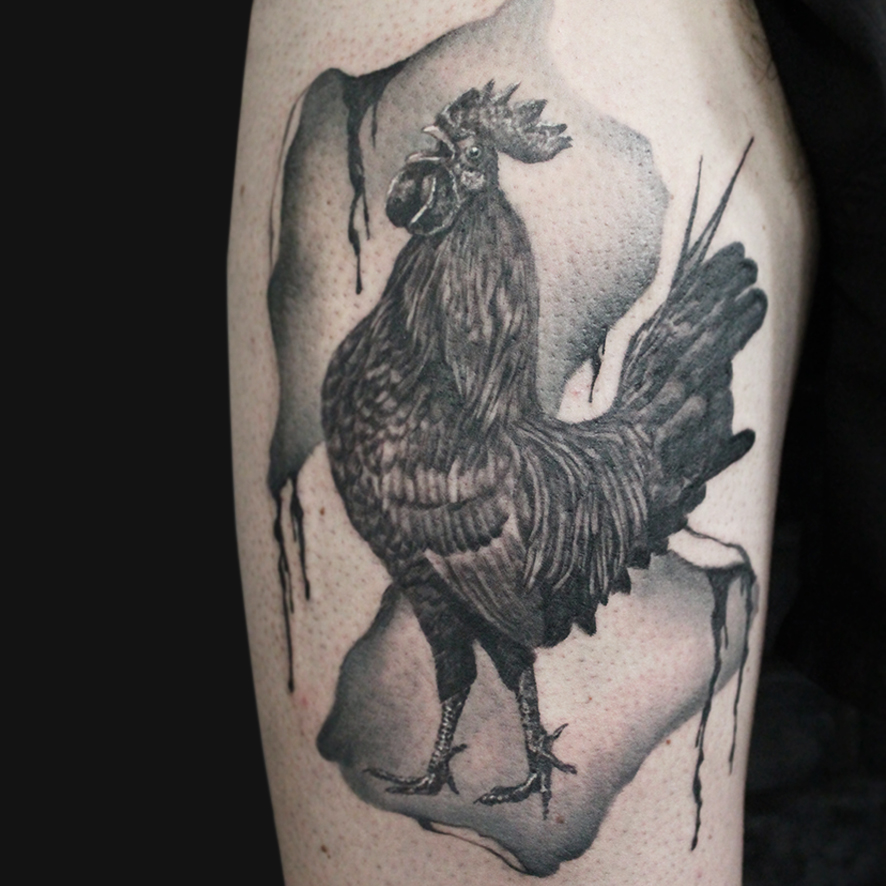 Coq