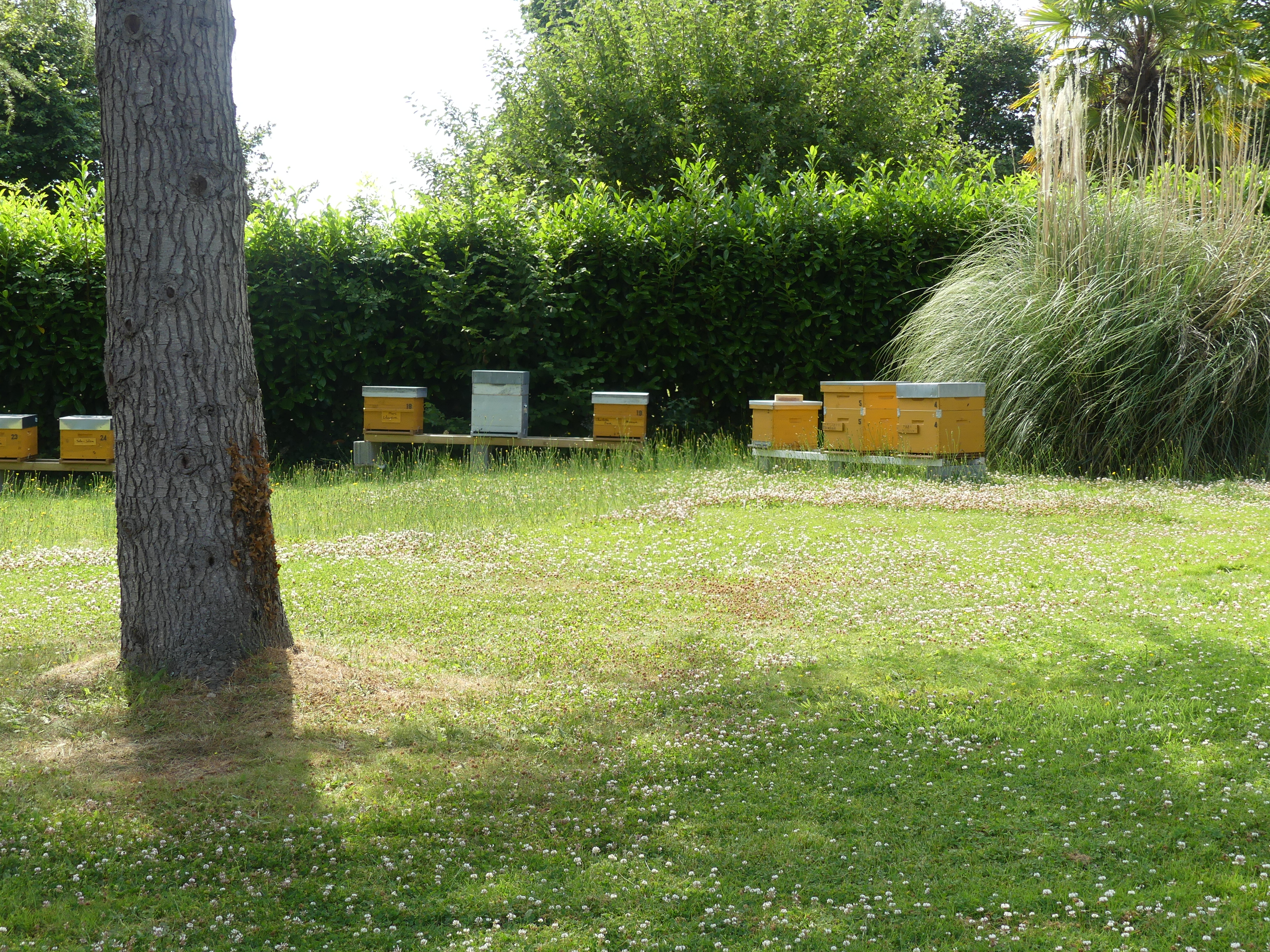 P1000335