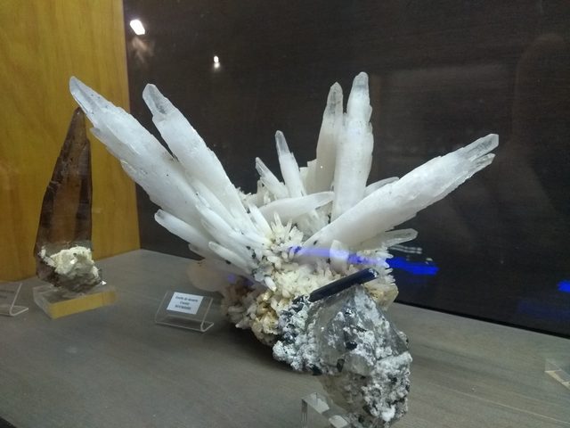 Img 20190728 142937948