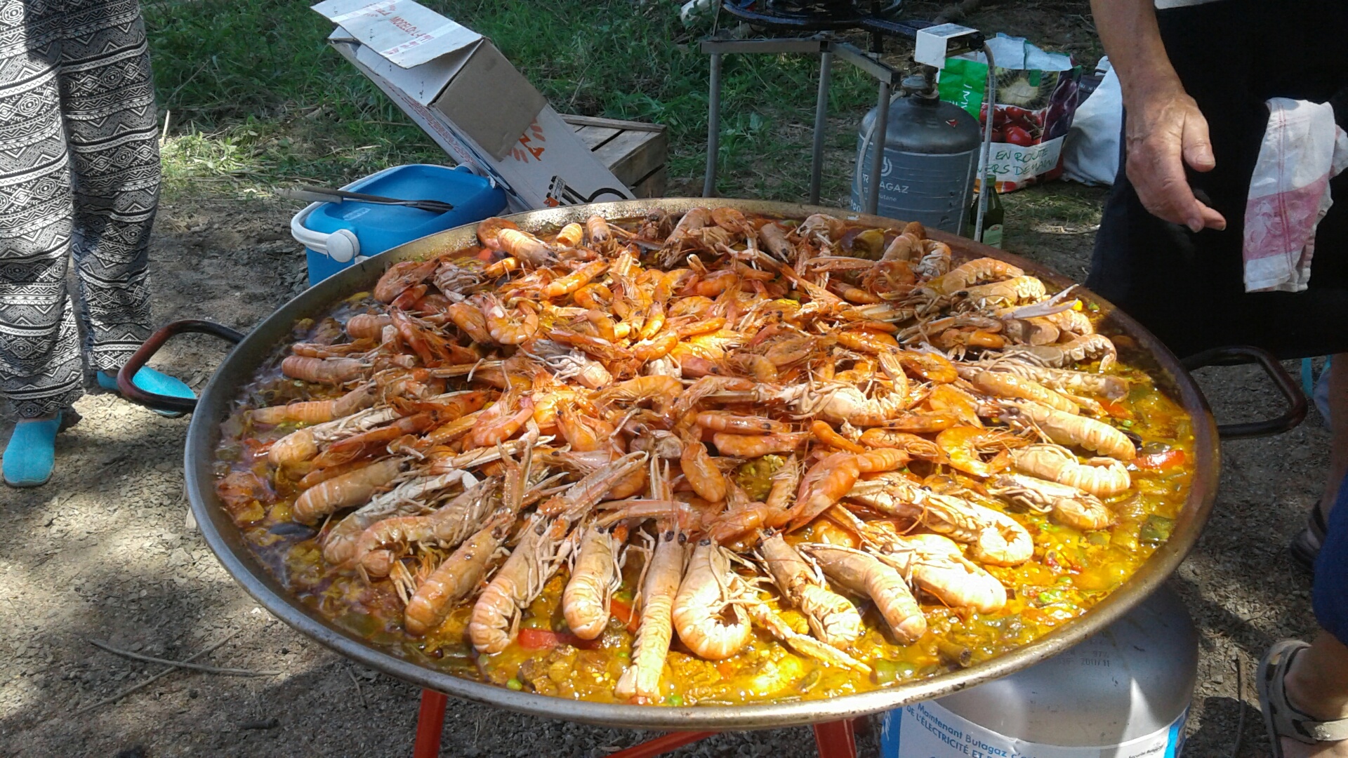 20190707 132816 resized