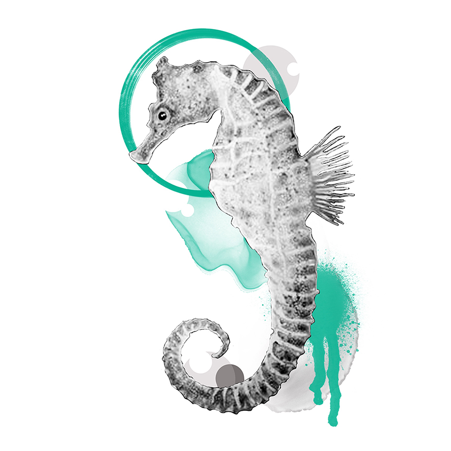 Projet3