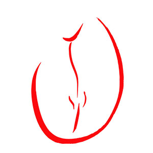 300px 