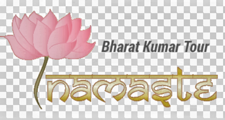 Bharat kumar www chauffeurinde in chauffeur en inde