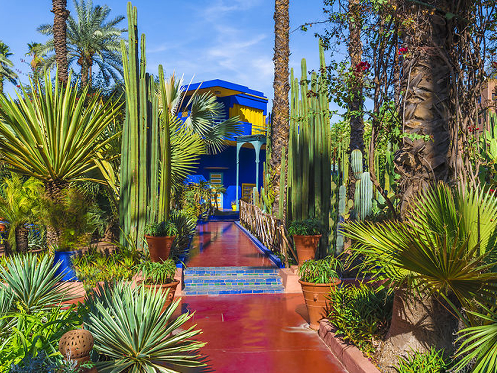 Jardin majorelle