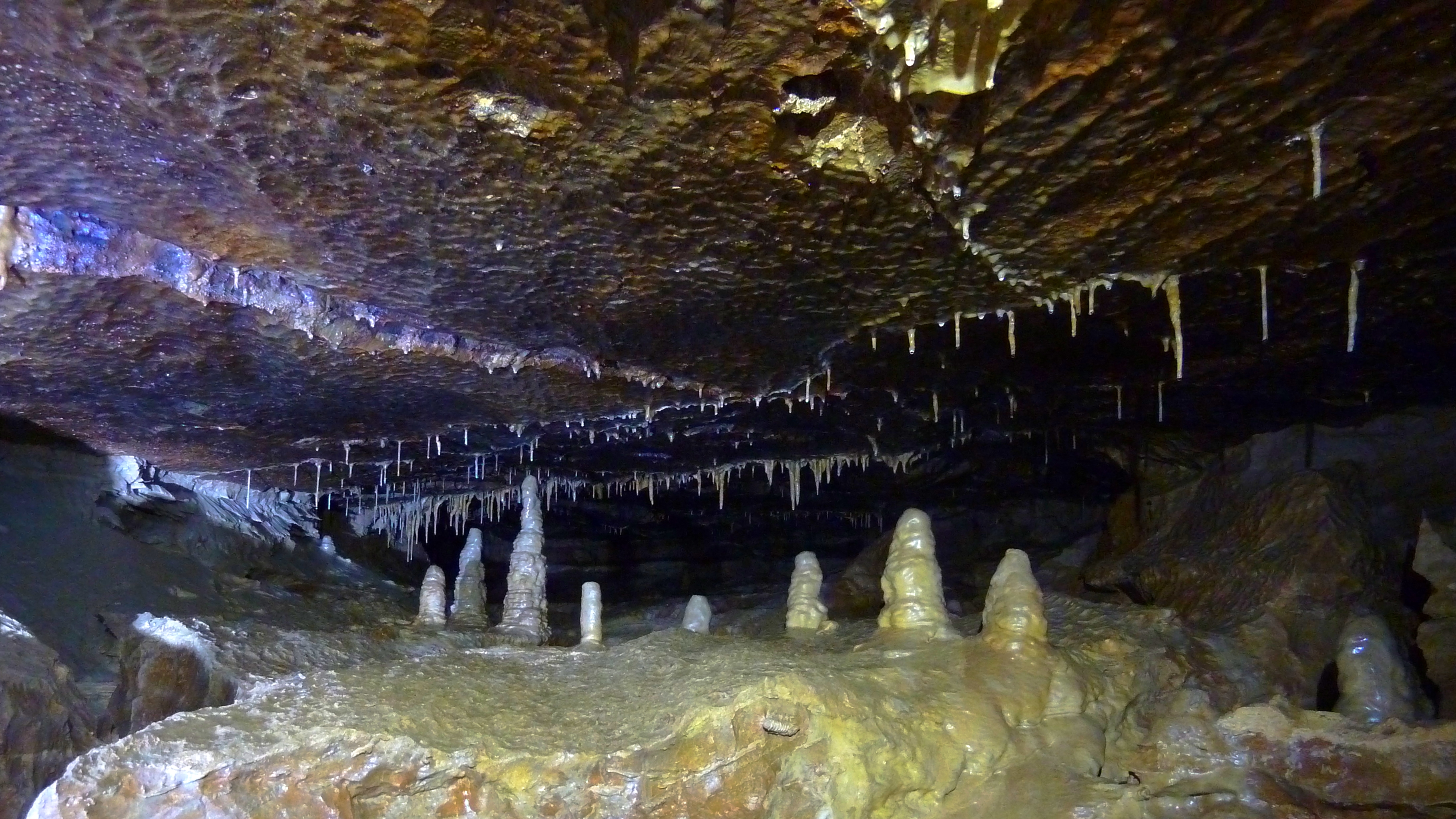 P1040932