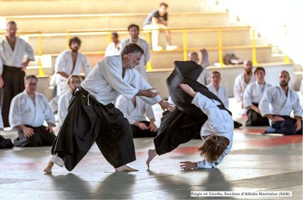 Regis Moreau aikido Nantes