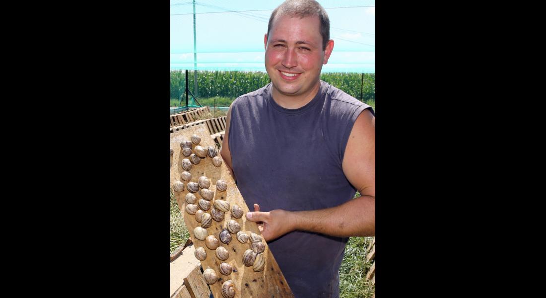 Michaël, éleveur des escargots d'Ebersheim