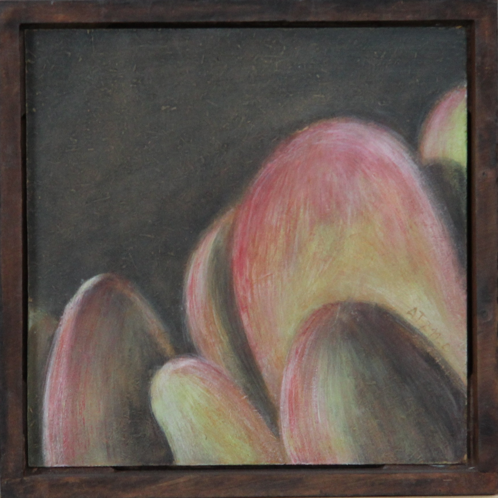Crassula ovata, 2013, pigments et carylique sur médium, Aurélie Amiot - Tyczynski, dimensions : 
