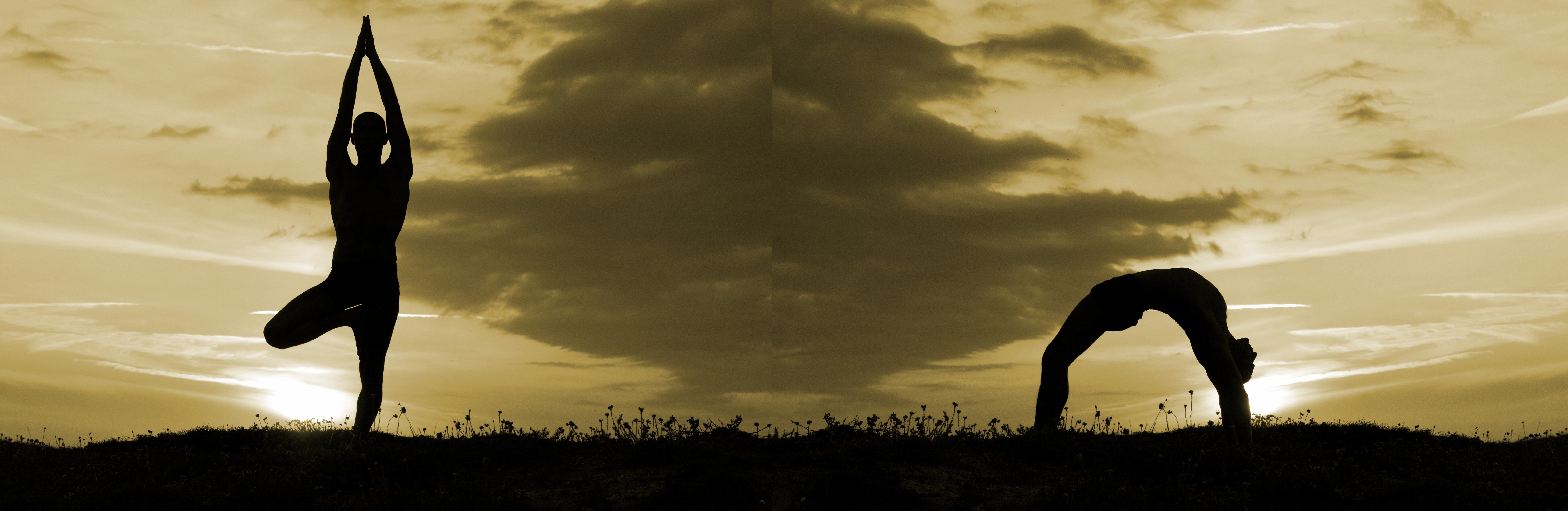 Montage 2