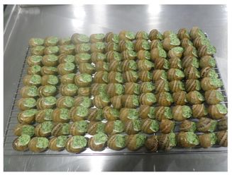 Escargots Gros Gris cuisinés et prêts à être emballés pour la vente