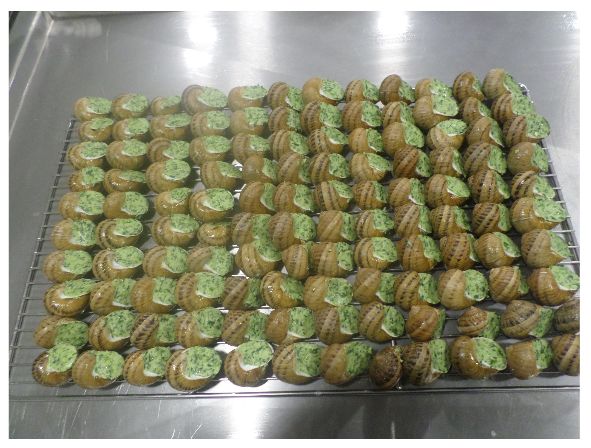 Escargots Gros Gris cuisinés et prêts à être emballés pour la vente