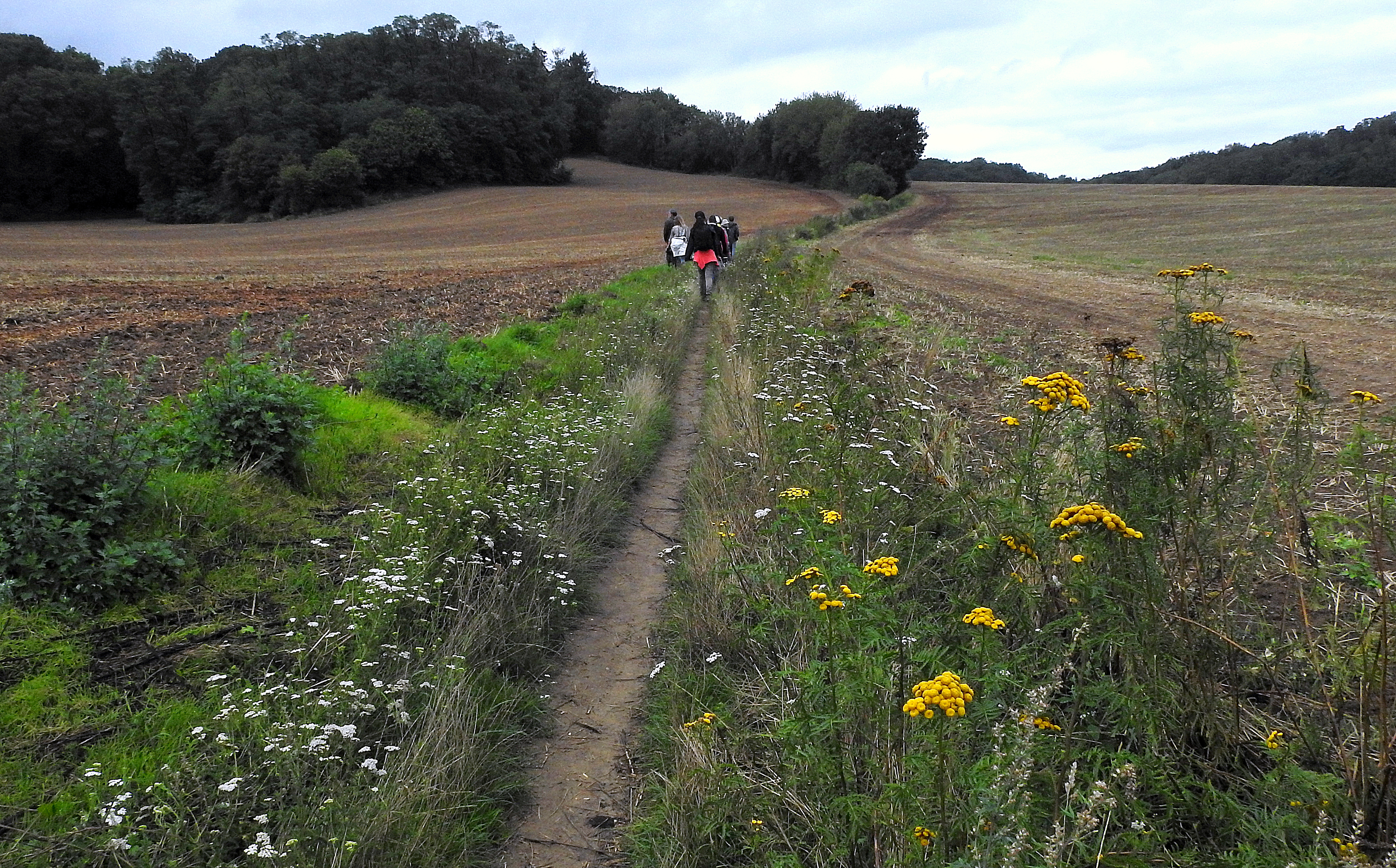Non au contournement nord de Wavre ! Protégez la nature, la biodiversité et l'environnement.