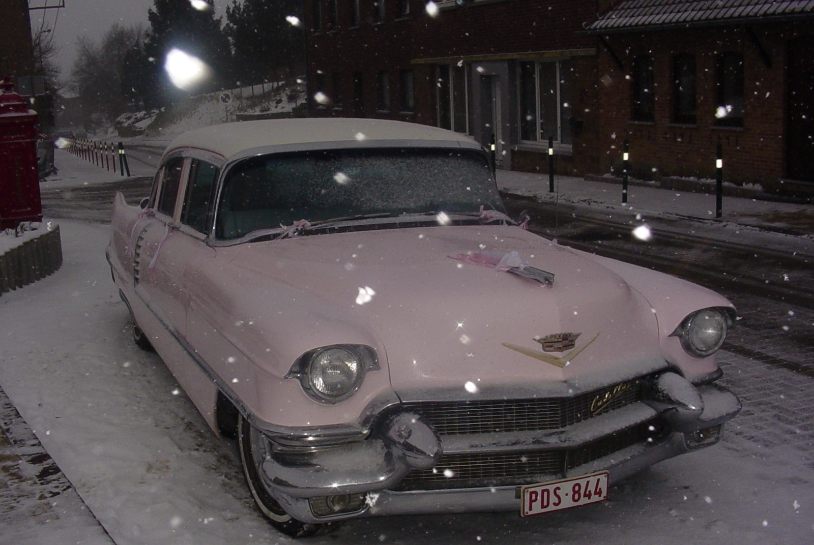 66004050 448689065964511 7394421859518775296 n