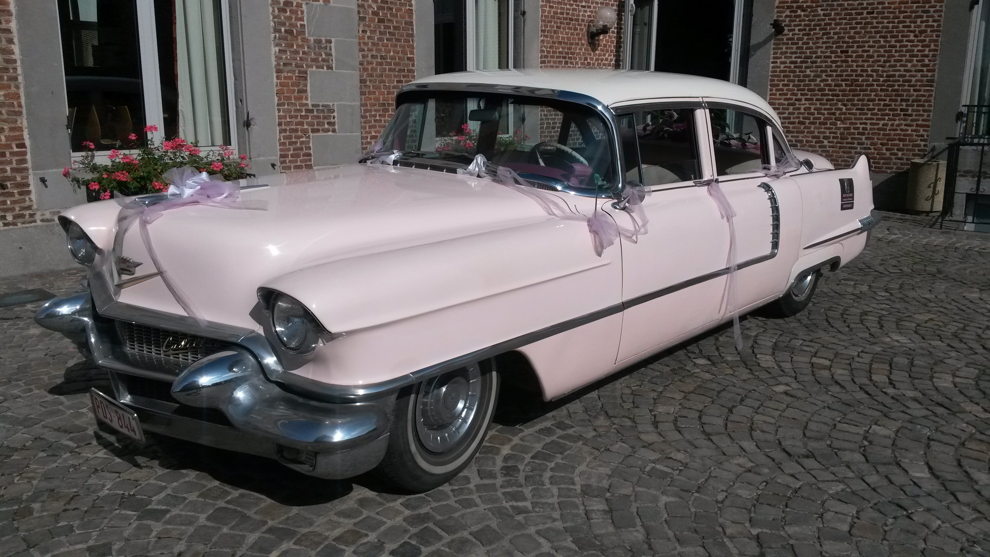 66094026 350755862271747 1597530901271543808 n 1 