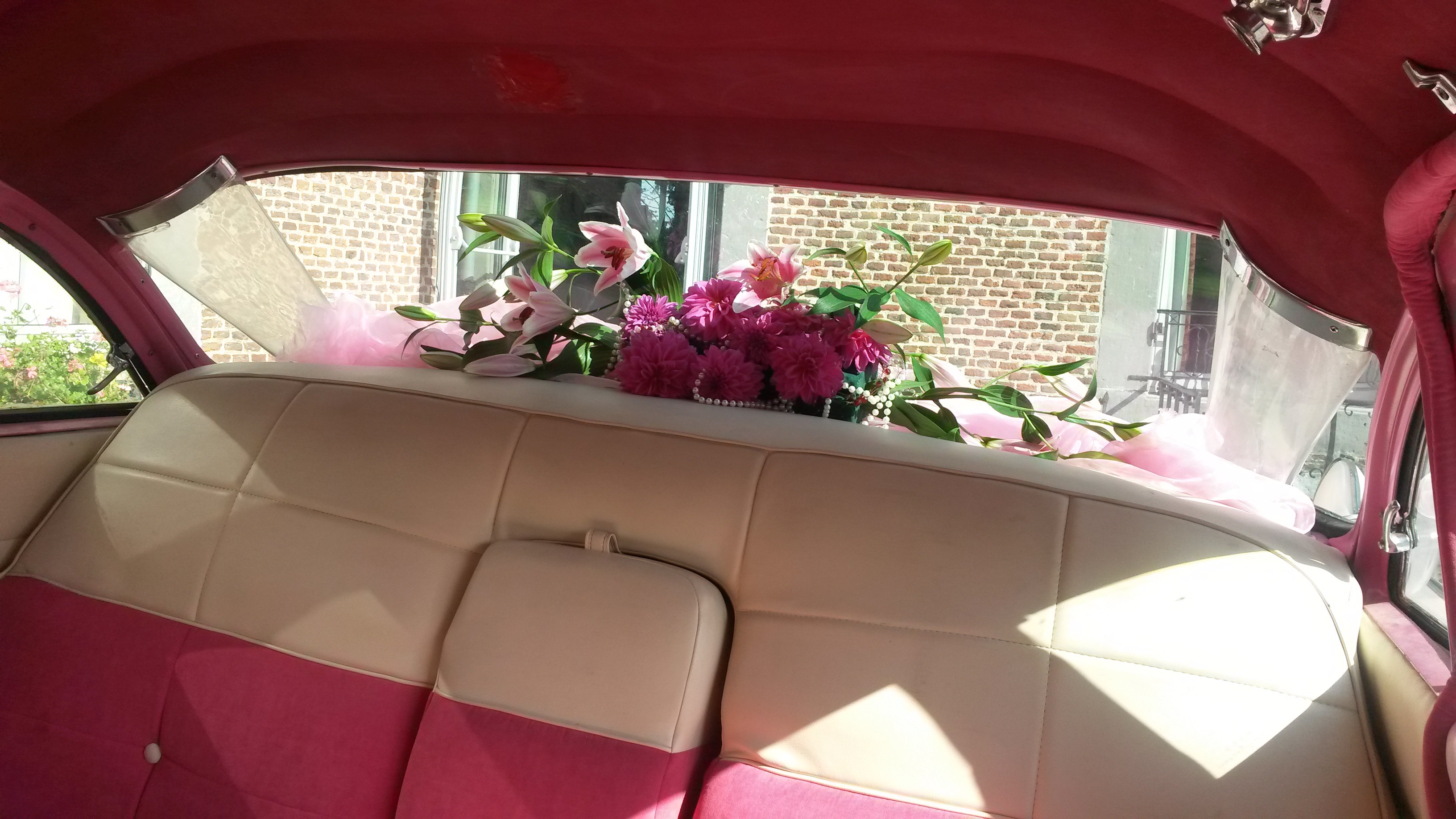 69049786 901734956860164 7609314475090378752 n