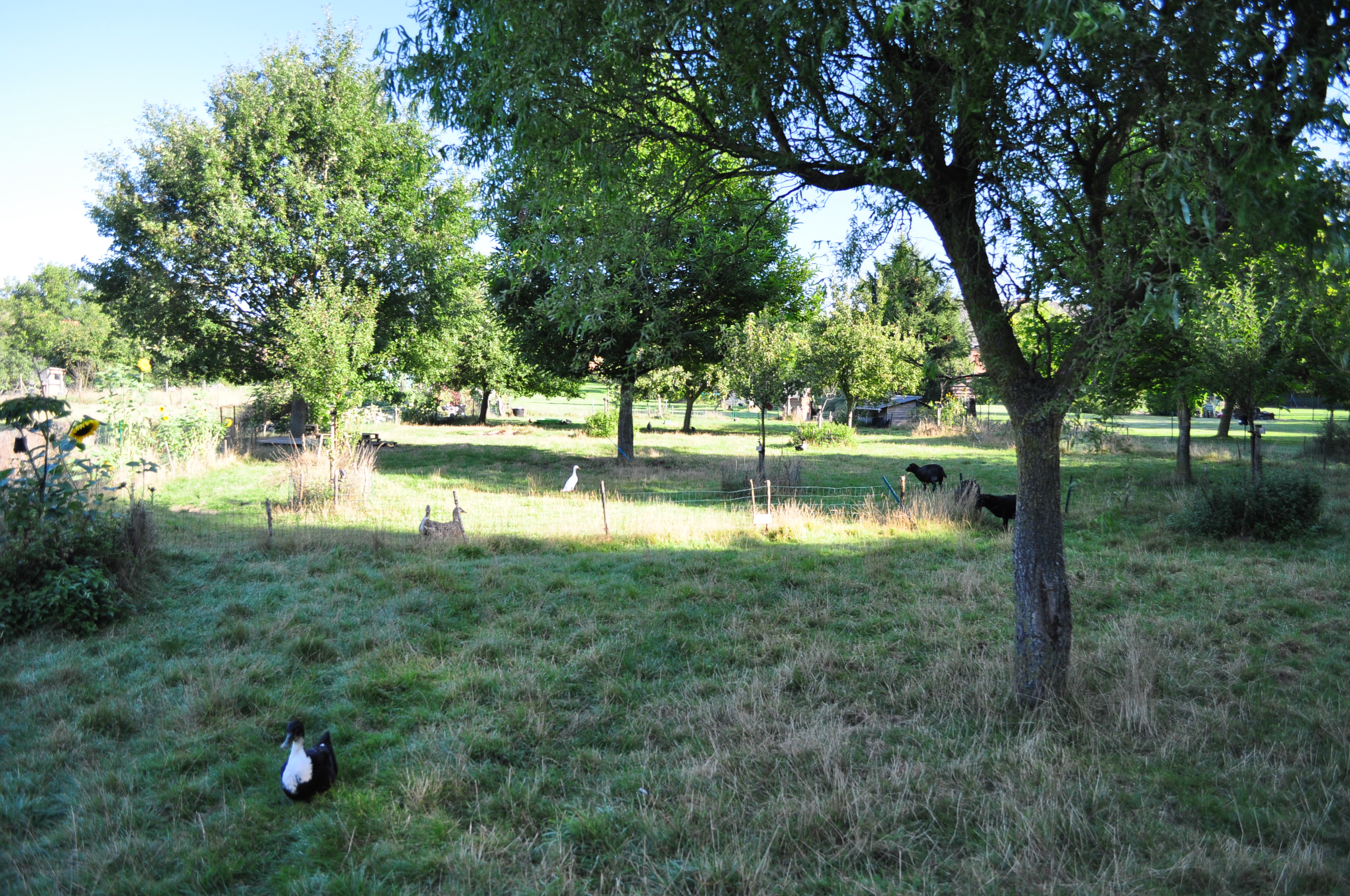 Dsc 0029