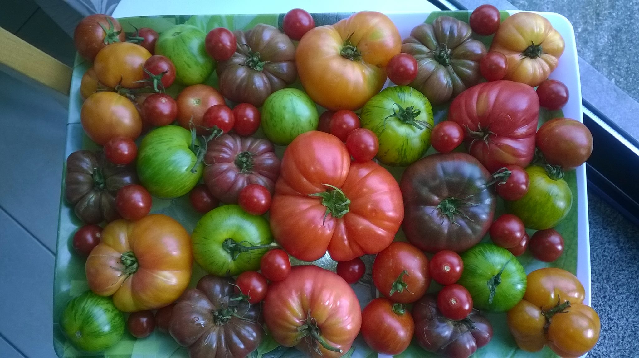 Tomates