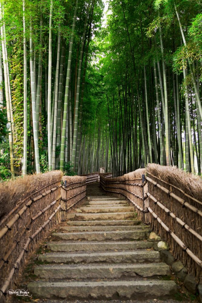 Japan 2b 096 arashiyama