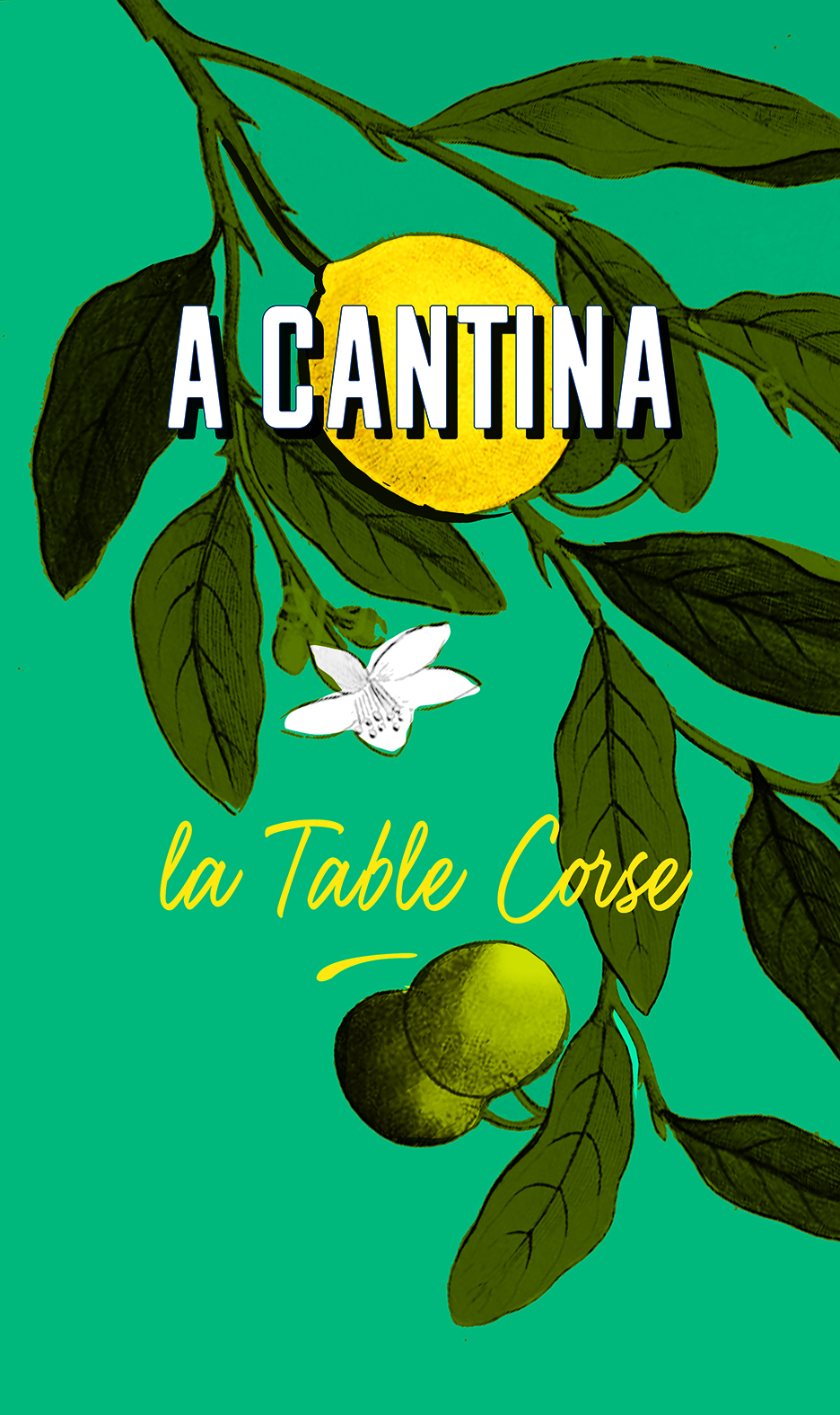 Cantina