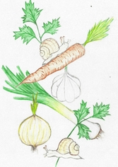 Logo Les Escargots d'Ebersheim