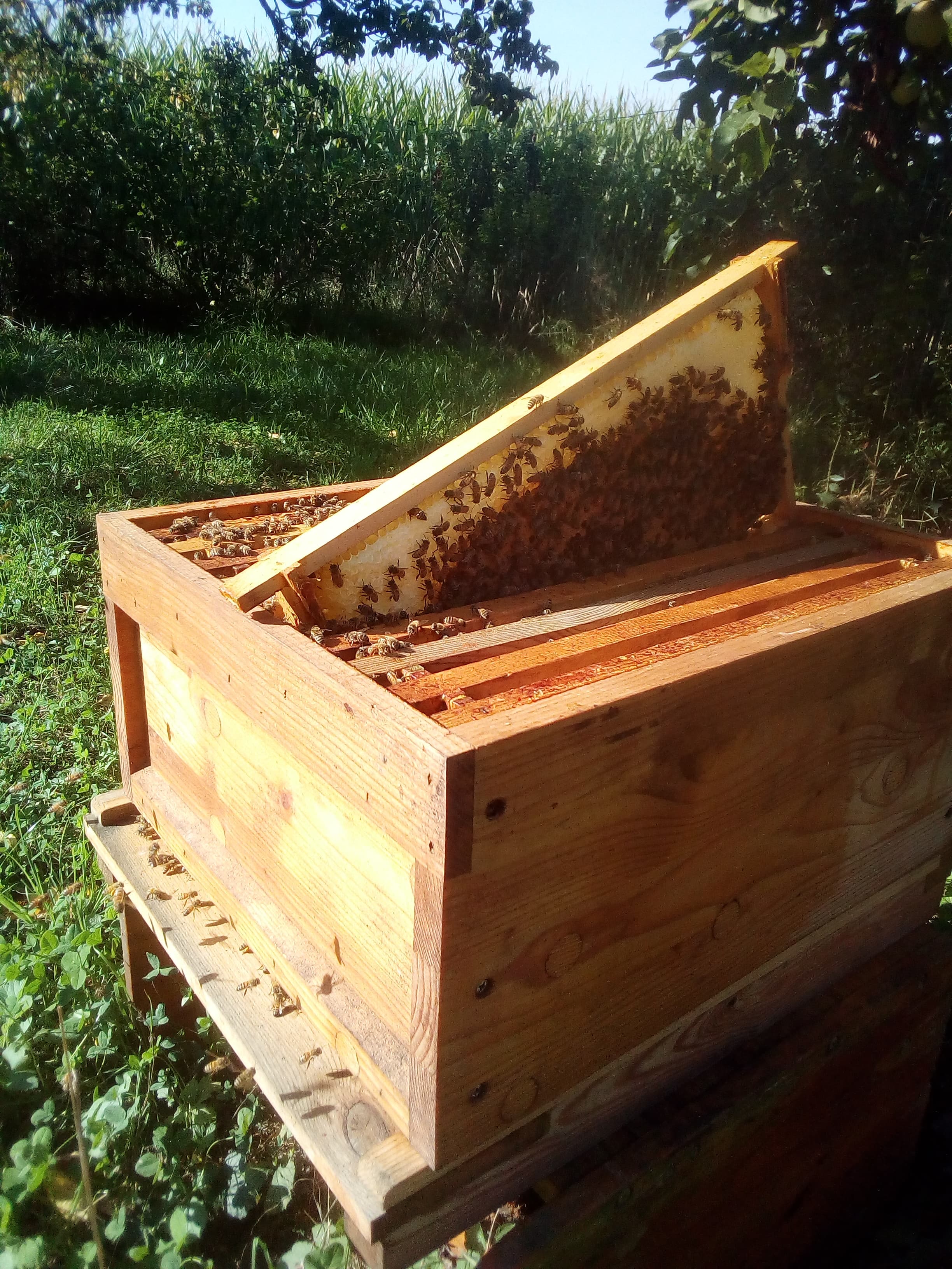 69446348 654656248358359 9127174909842161664 n