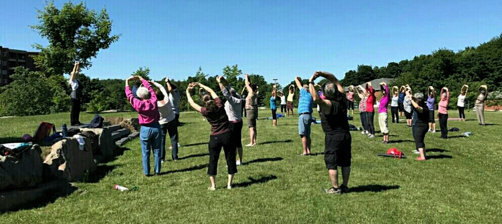 Taichi qigong parcs