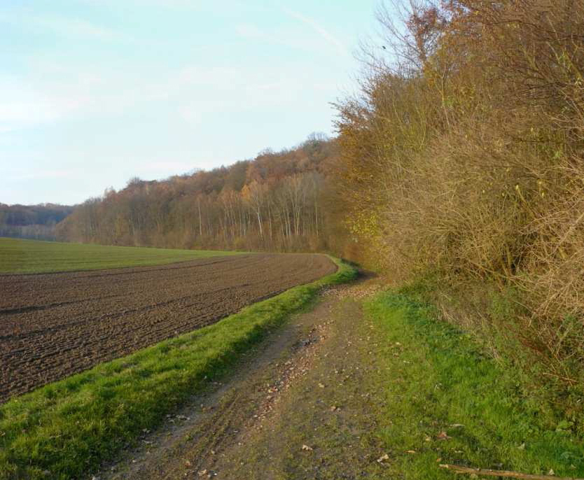 Vue generale du chemin no 7