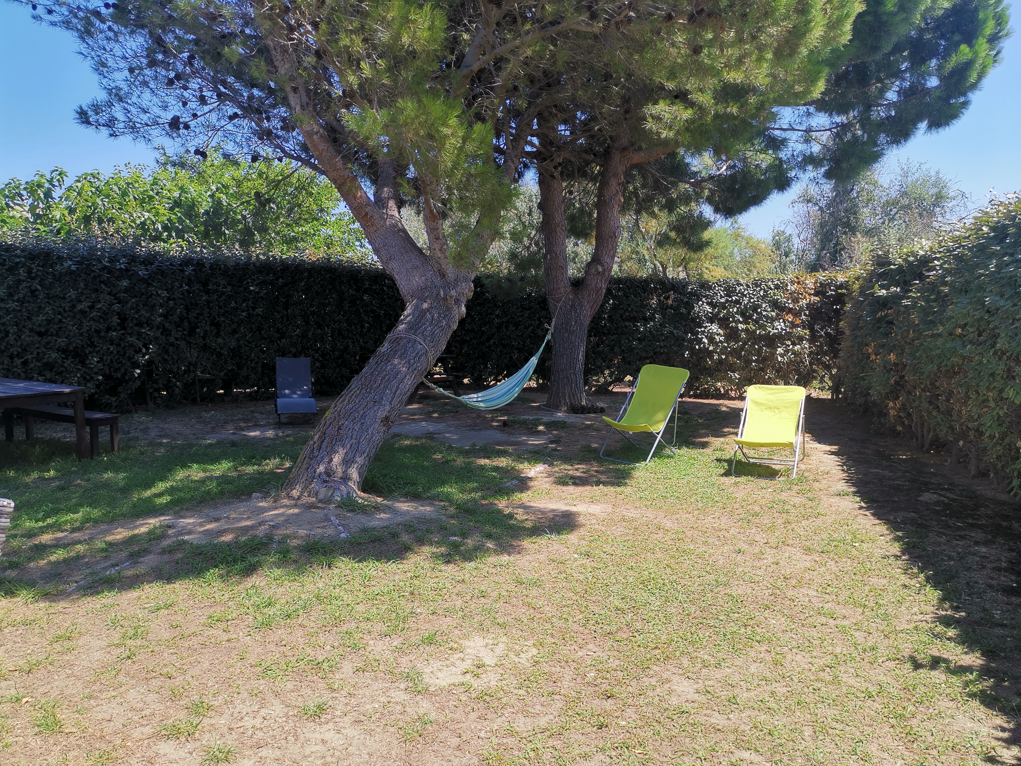 Img 20190803 141300