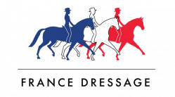 Logo FD
