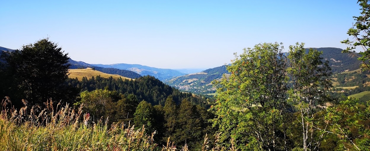 Image du griou panorama